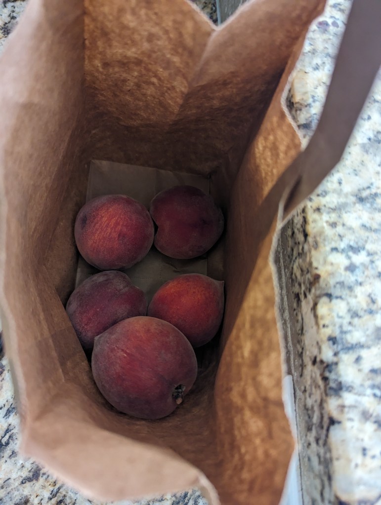 Fresh, local South Carolina peaches
