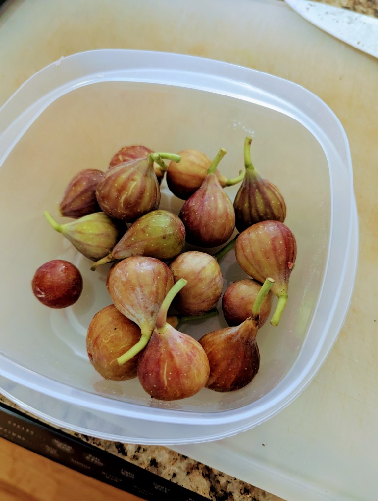 Fresh Figs for the Caramelized Fig Syrup